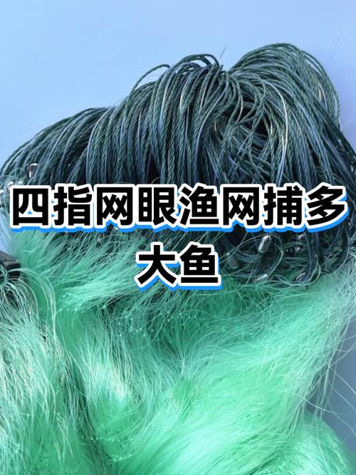 大鱼中文网