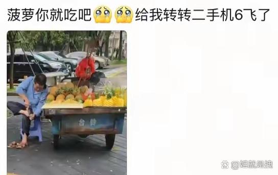 麻辣菠萝转转屁