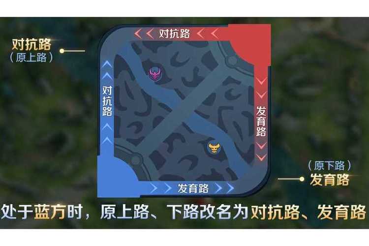 王者荣耀对抗路是上路还是下路