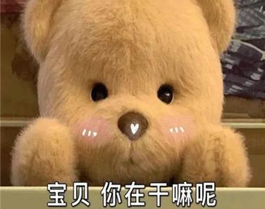 臭宝在干嘛表情包