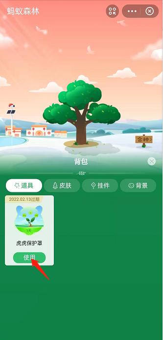支付宝蚂蚁森林钻石保护罩