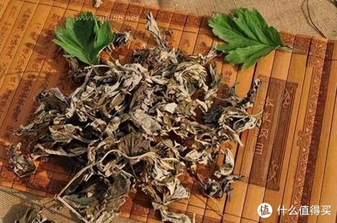 艾草放五六年可以用吗缩略图