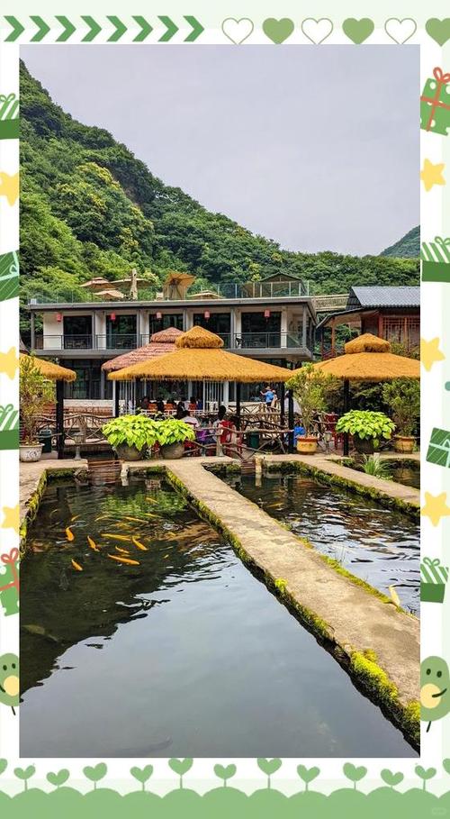 去农家的开心句子