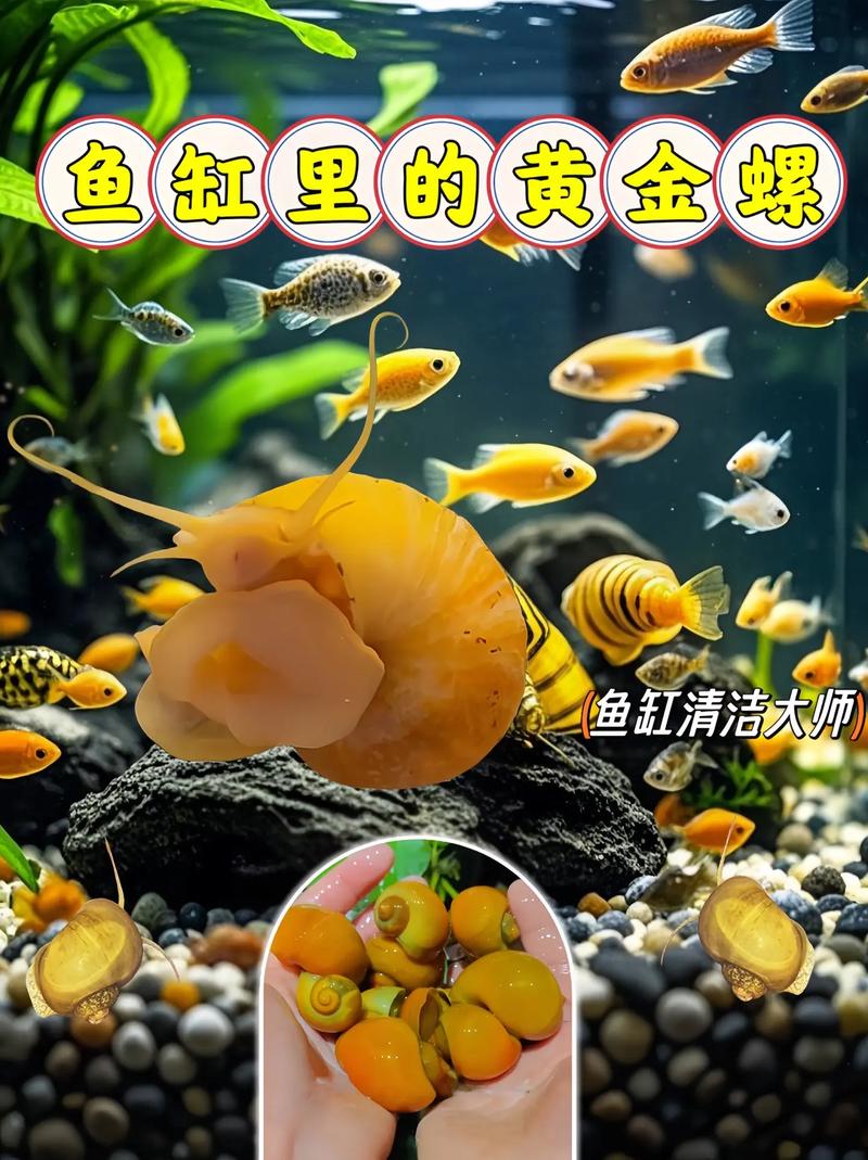 金手指怎么擦干净