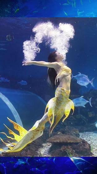 海洋馆里的美人鱼