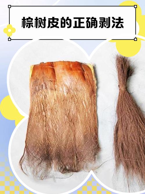轻毛皮在哪剥