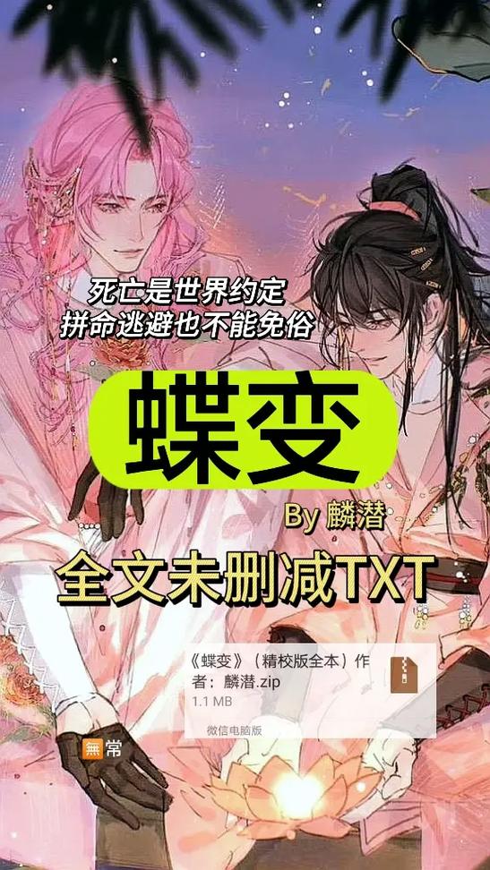 小说《蝶变》简介