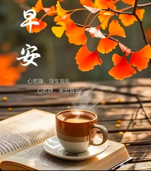 晨风秒赞网