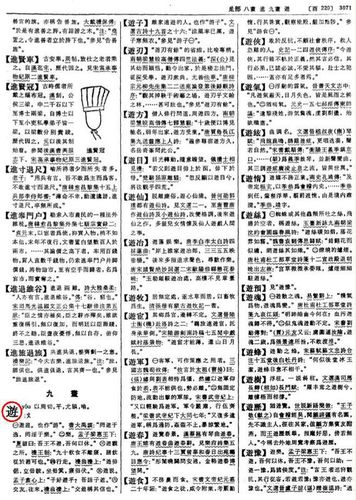 辞源字典在线查字