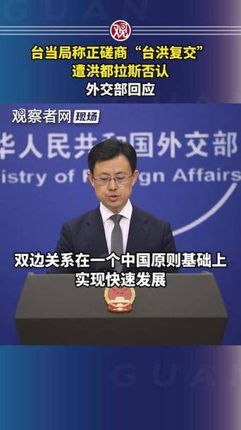 外交部回应洪都拉斯与台复交