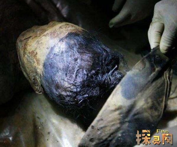 僵尸:养尸真经,我养成了僵尸?