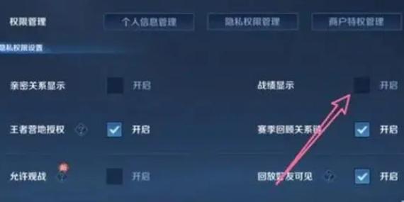 王者荣耀看到战绩却点不进去