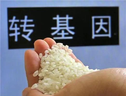 转米是什么意思