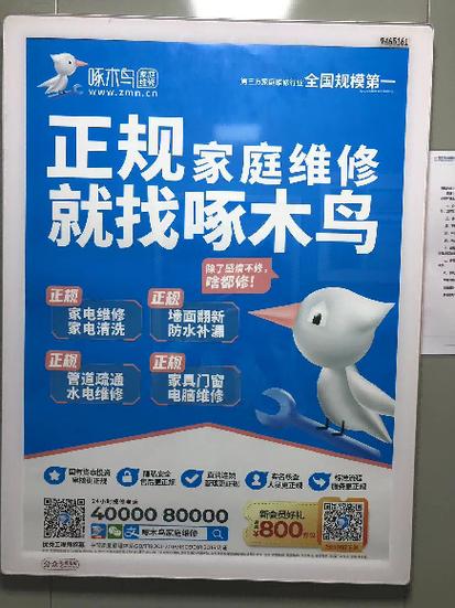 啄木鸟专业维修平台