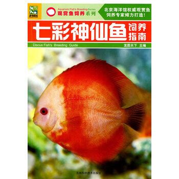 七彩鱼一天喂几顿