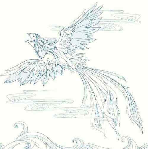 比翼鸟简笔画图片