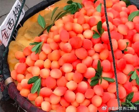 人工假水果