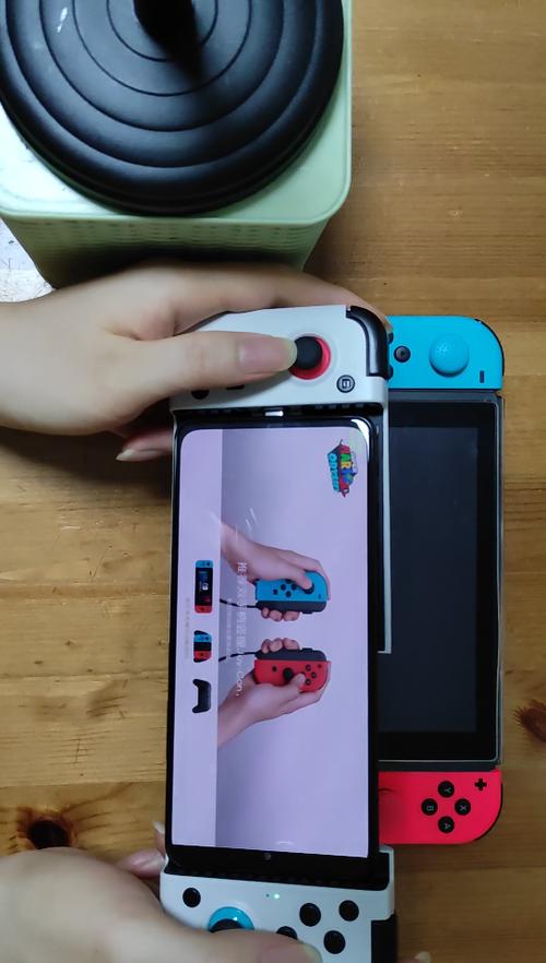 蛋蛋模拟器怎么玩宝可梦朱紫