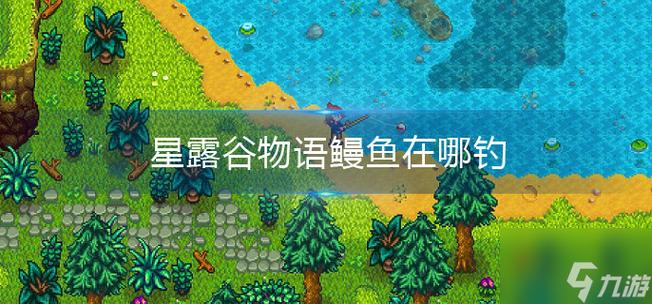 星露谷鳗鱼最佳钓点