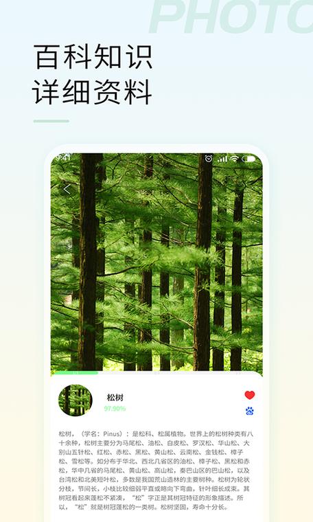 手机自带拍照识物为何不能用