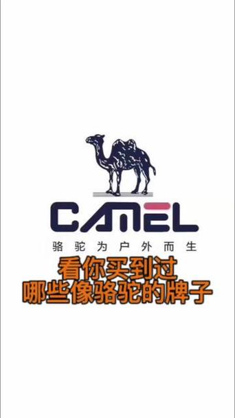 骆驼logo真假图缩略图