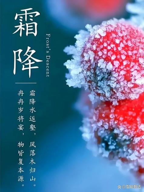 霜降是多少度缩略图