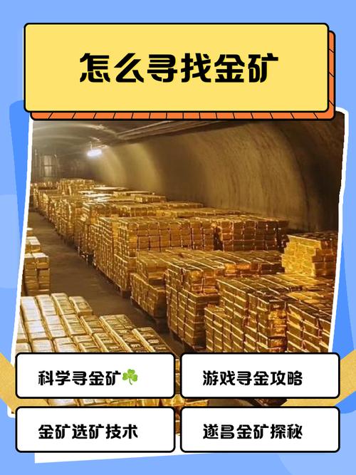 小金矿为啥下载不了