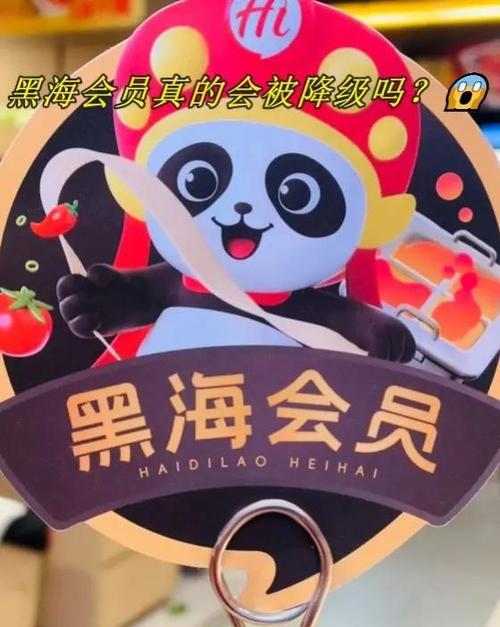 黑海会员会被降级吗