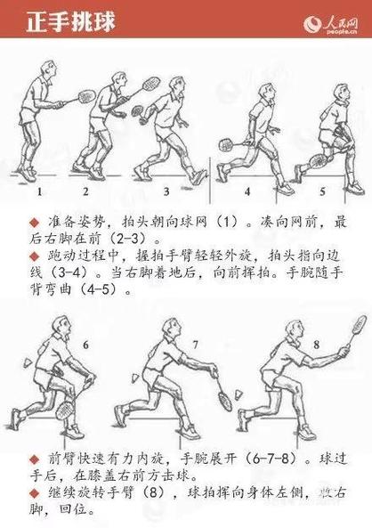 羽毛球怎么打的又高又远技巧游戏截图