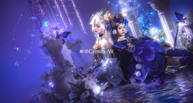 金色仲夏夜之梦什么时候上架的