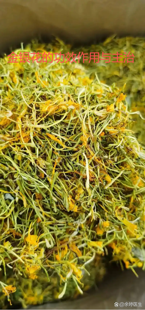 金银花为啥叫断子绝孙