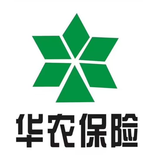 华农财险99元哪个网贷