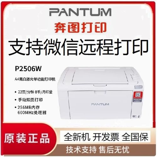 奔图p2505打印机怎么连接电脑