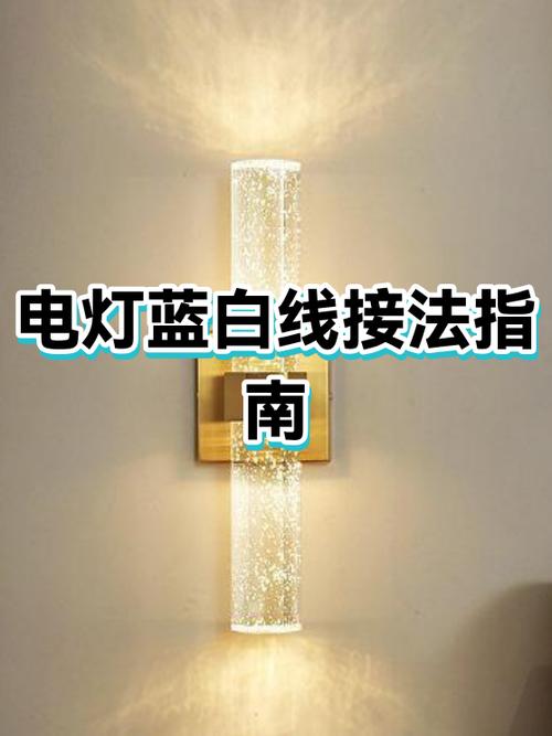 灯线蓝白哪个是火线游戏截图