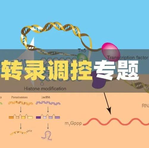 王者荣耀视野灵敏度怎么调