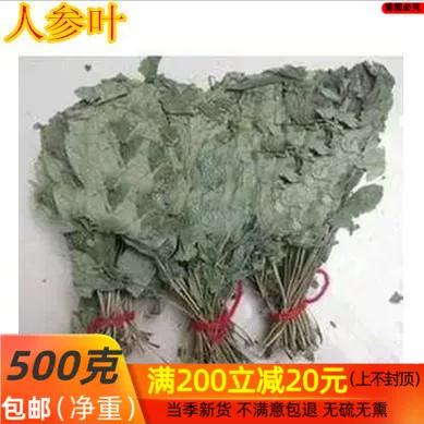 叶绿
