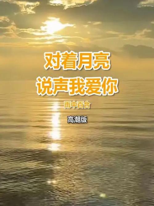 对着月亮说爱你