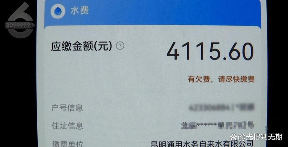支付宝水费显示暂未欠费