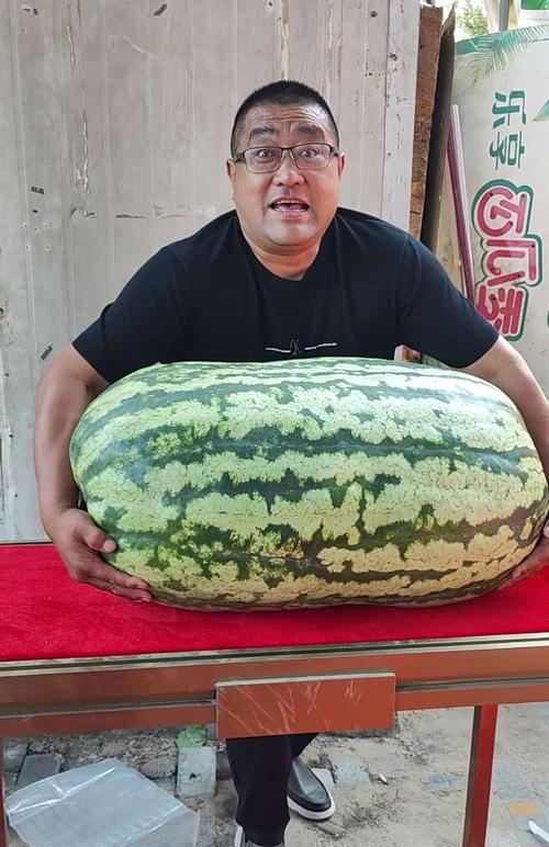 大西瓜. 中国