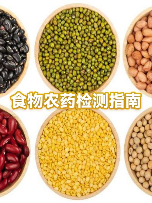 农药检测多少钱一次游戏截图