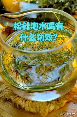 松针能治高血压吗