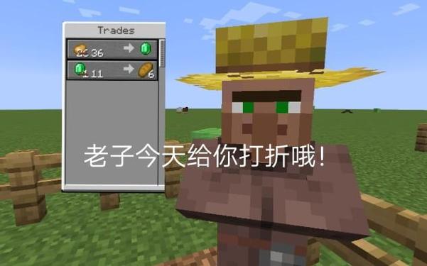mc刷绿宝石最快的村民截图