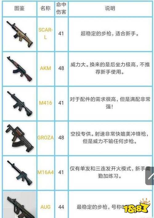 和平精英伤害排行缩略图
