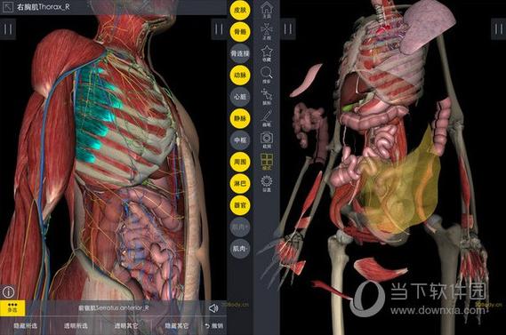 3dbodypc专业破解