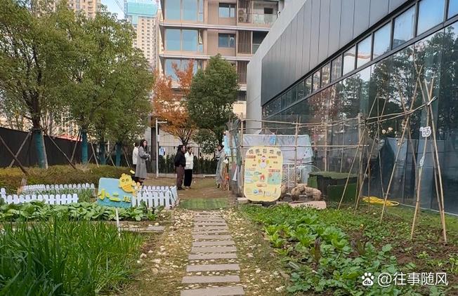 金多多农场游戏是真的吗