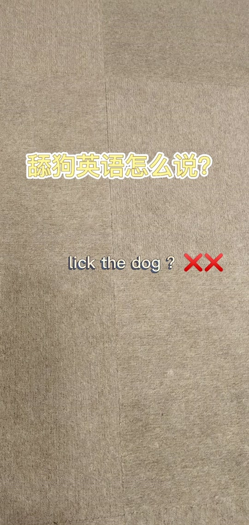舔狗英文怎么读