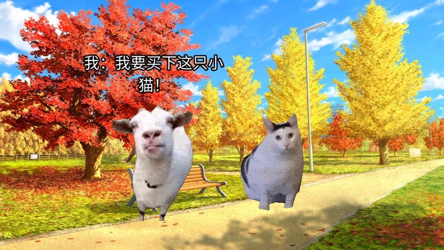 猫meme剧场全集