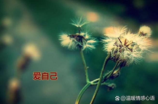 要学会自己爱自己