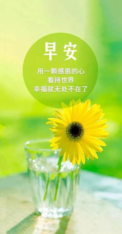 早起励志图片带字