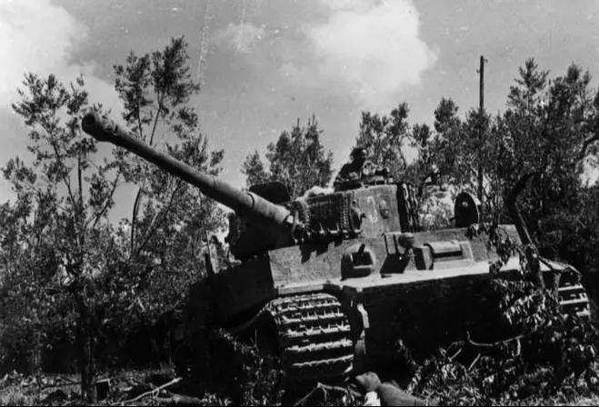 1945柏林保卫战安卓版下载安装最新版